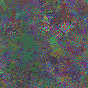 World at epoch 79000