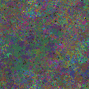 World at epoch 81000