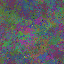 World at epoch 74000