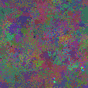 World at epoch 75000