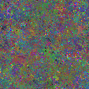World at epoch 81000