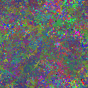 World at epoch 95000
