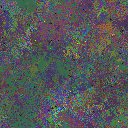 World at epoch 85000