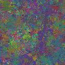 World at epoch 77000