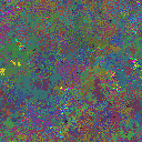 World at epoch 79000