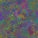World at epoch 79000