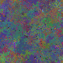 World at epoch 80000