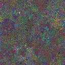 World at epoch 75000
