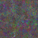 World at epoch 76000