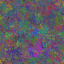 World at epoch 135000
