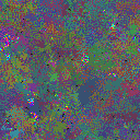 World at epoch 81000