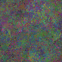 World at epoch 95000