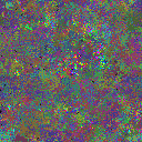 World at epoch 95000