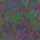 World at epoch 80000
