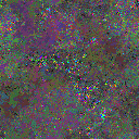 World at epoch 74000