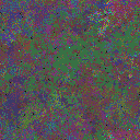 World at epoch 81000