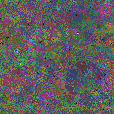 World at epoch 81000