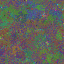 World at epoch 105000