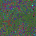 World at epoch 74000