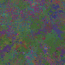 World at epoch 75000