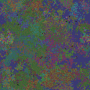 World at epoch 79000