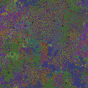 World at epoch 81000