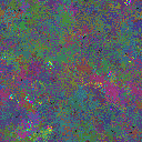 World at epoch 95000
