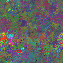 World at epoch 150000