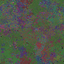 World at epoch 95000