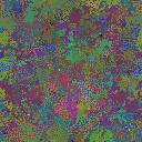 World at epoch 95000