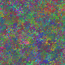 World at epoch 135000