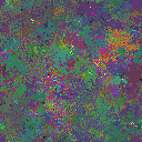 World at epoch 105000