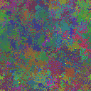 World at epoch 116000