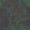 World at epoch 65000