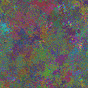 World at epoch 137000