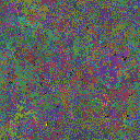 World at epoch 135000