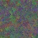 World at epoch 138000
