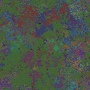 World at epoch 115000