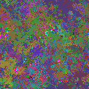 World at epoch 104000