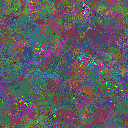 World at epoch 115000