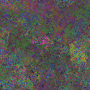 World at epoch 79000