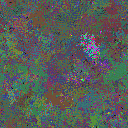 World at epoch 150000
