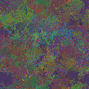 World at epoch 150000
