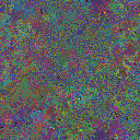 World at epoch 160000