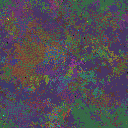 World at epoch 155000