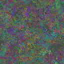 World at epoch 77000