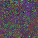 World at epoch 95000