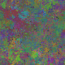 World at epoch 67000