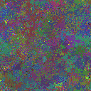 World at epoch 75000