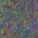 World at epoch 75000
